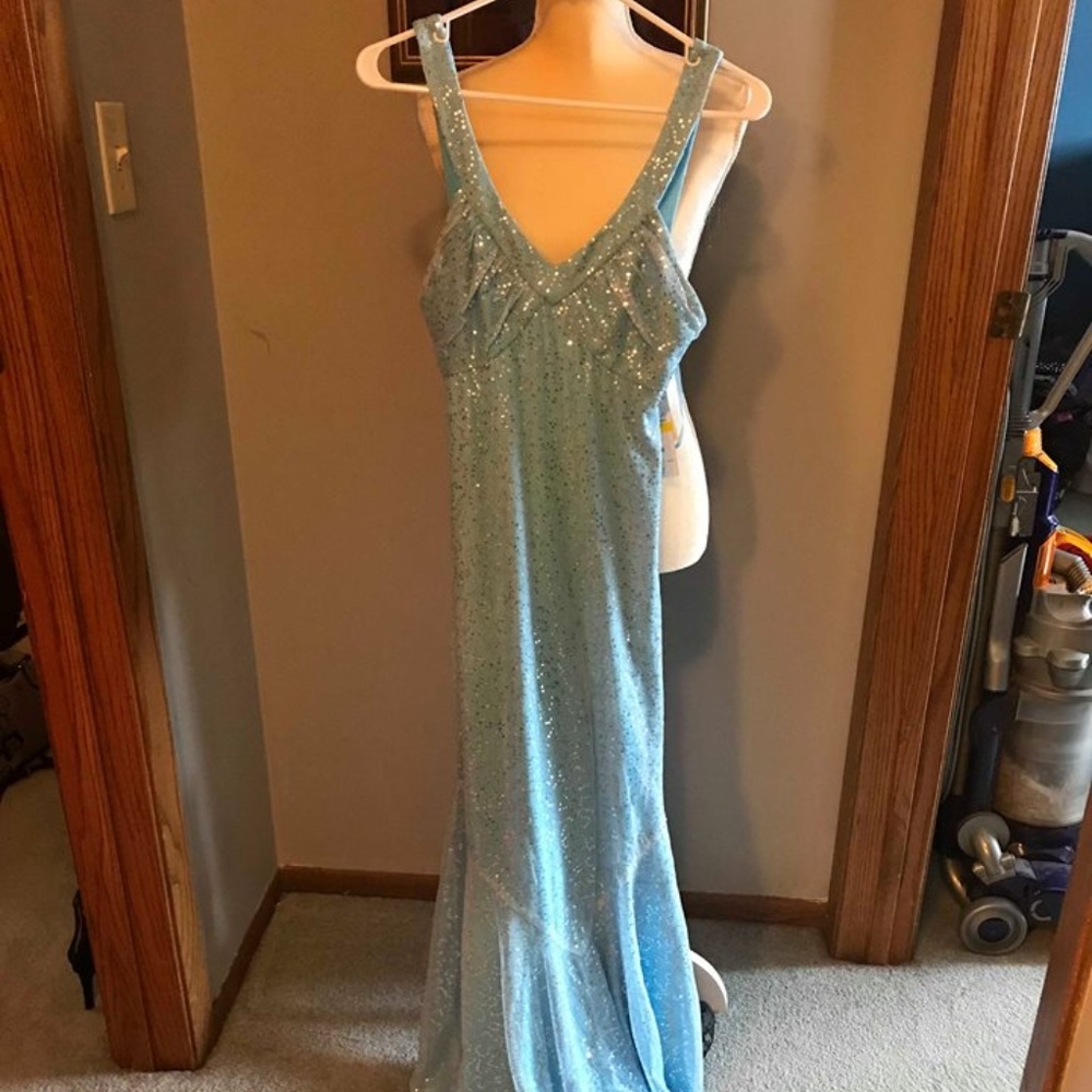 Prom Dress or Evening Gowns